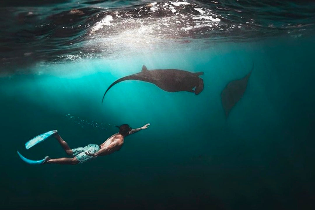 Lembongan Sharing Boat: Snorkeling for Groups