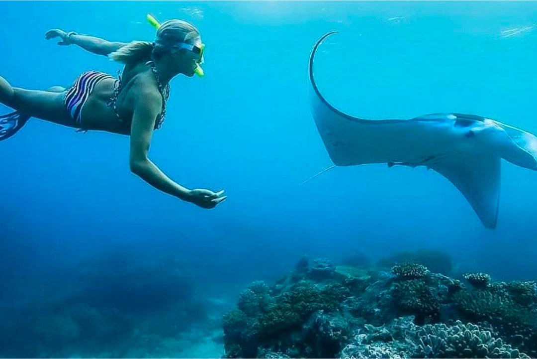 Lembongan Private Snorkeling Adventure (3 hours)