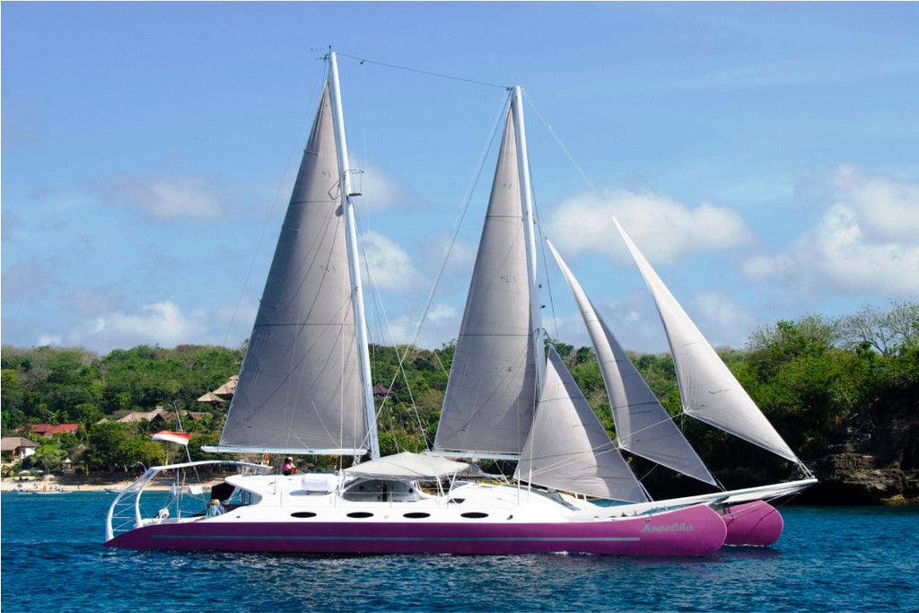 Aneecha Sailing Catamaran