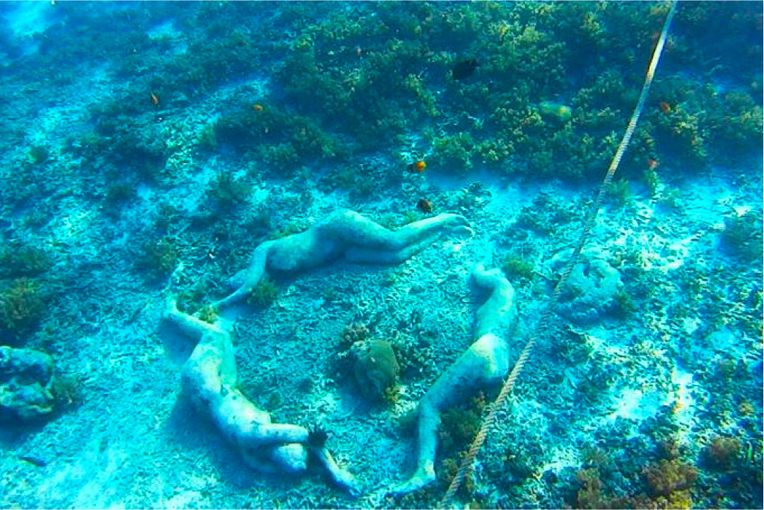 Shared Snorkeling Tour to Statues and Turtle Point