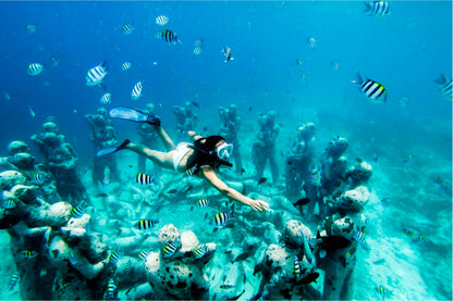 Shared Snorkeling Tour to Statues and Turtle Point