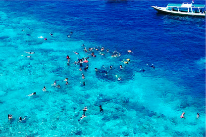 Shared Snorkeling Tour to Statues and Turtle Point