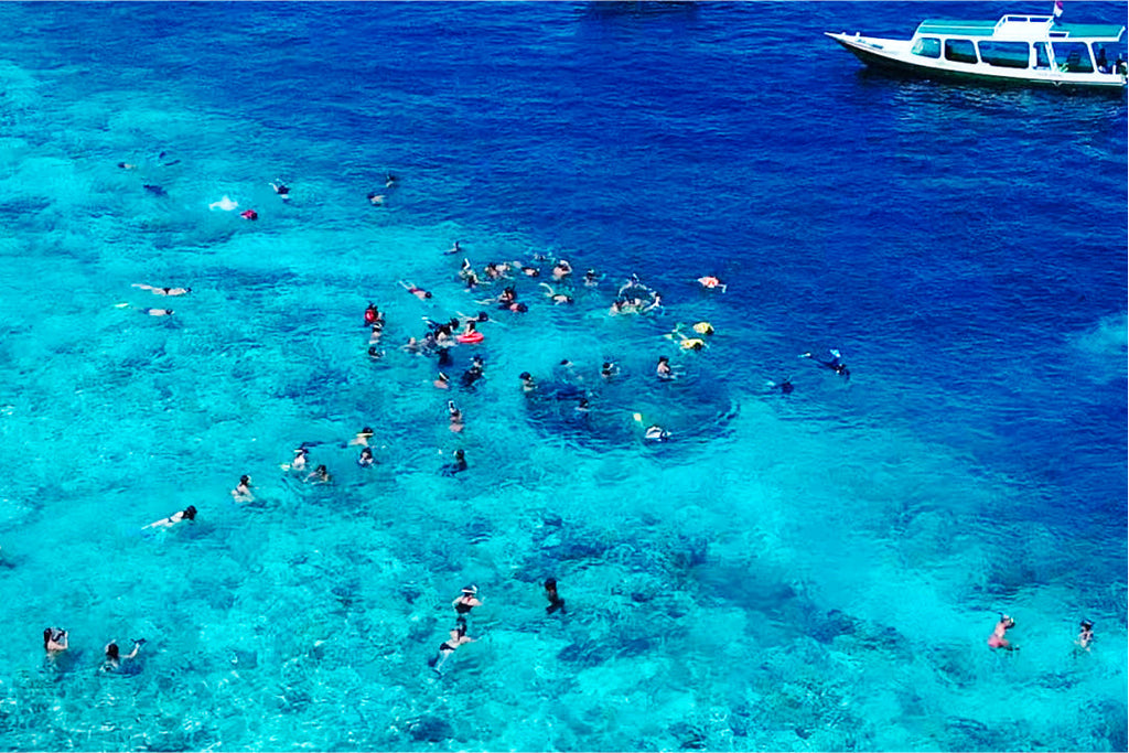Gili Trawangan Morning Snorkeling Adventure