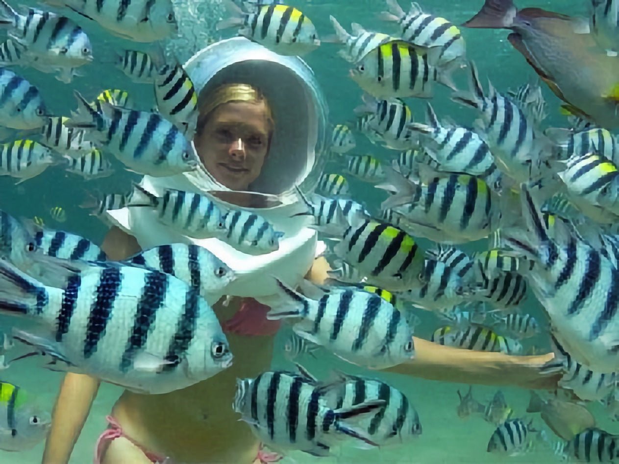 Glass-bottom Boat - Nusa Dua