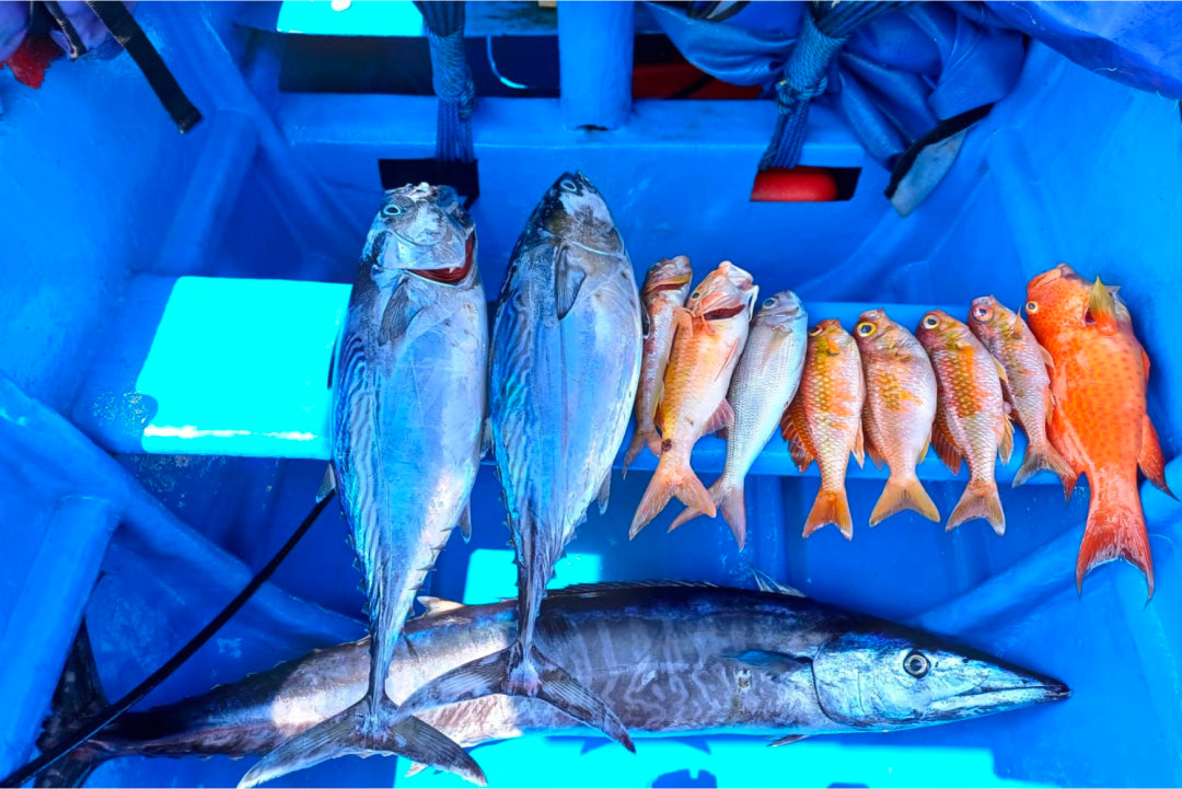 Private Half-Day Traditional Jukung Fishing Trip
