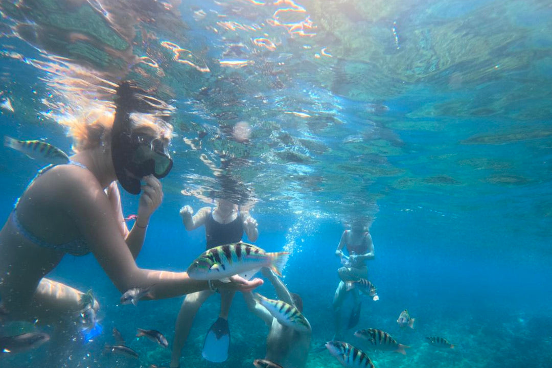 Lembongan Private Snorkeling Adventure (3 hours)