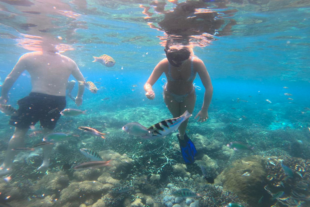 Lembongan Private Snorkeling Adventure (3 hours)