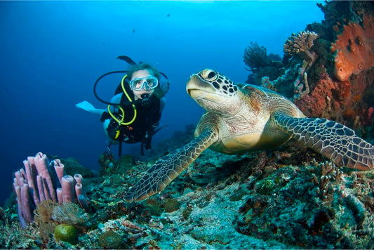Lembongan Sharing Boat: Snorkeling for Groups
