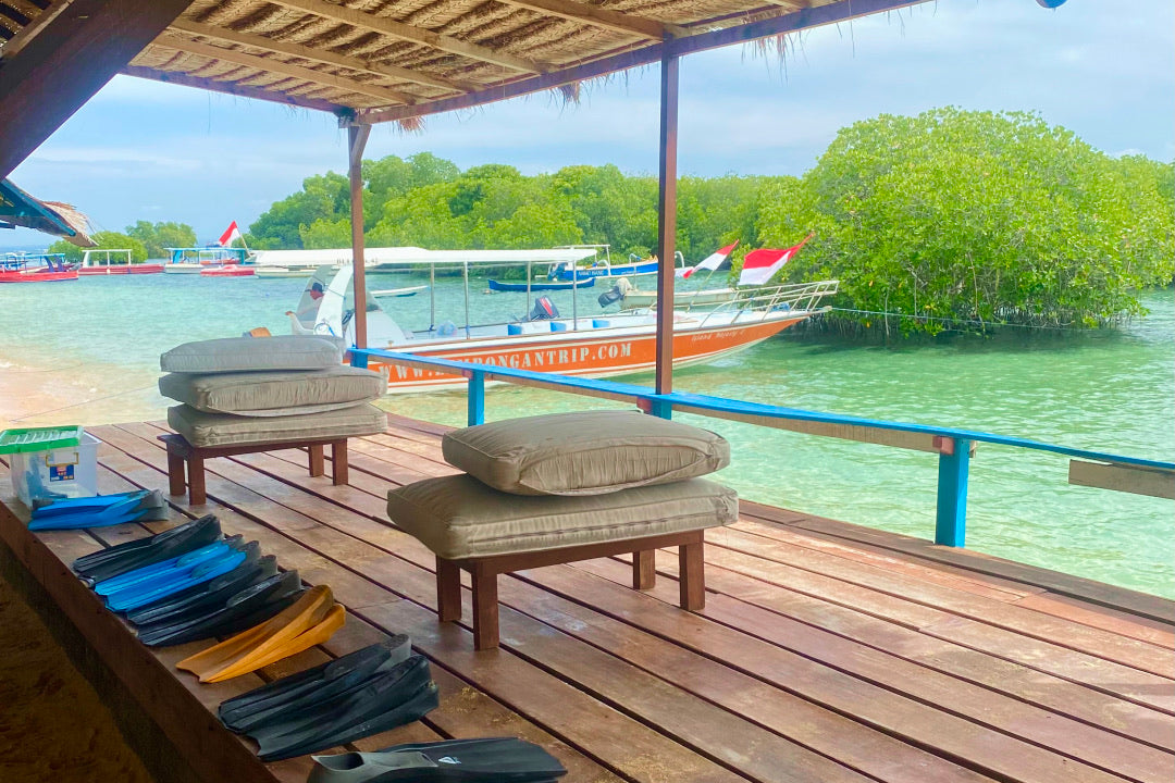 Mangrove, Lembongan