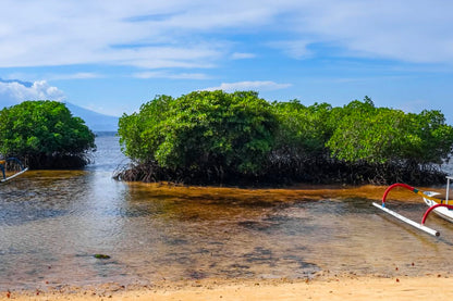 Mangrove, Lembongan