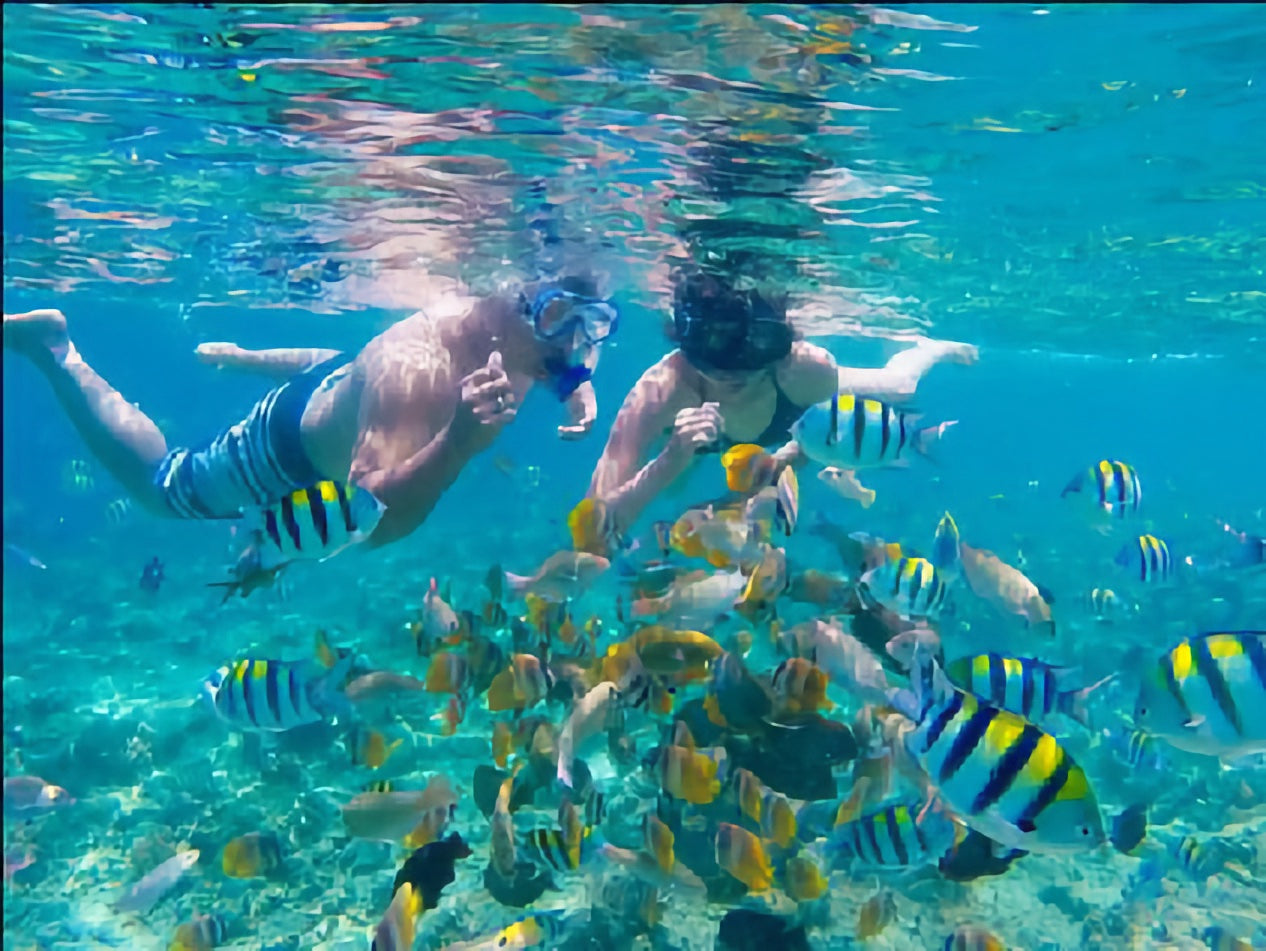 Snorkeling - Nusa Dua, Tanjung Benoa