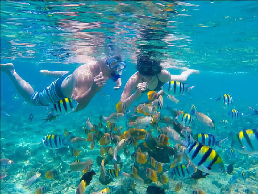 Snorkeling - Nusa Dua, Tanjung Benoa